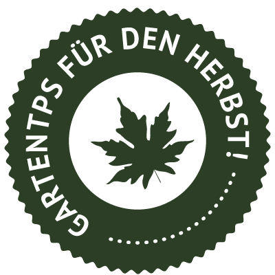 Gartentips für den Herbst - Herbstpflege mit Nordweiss-Perle