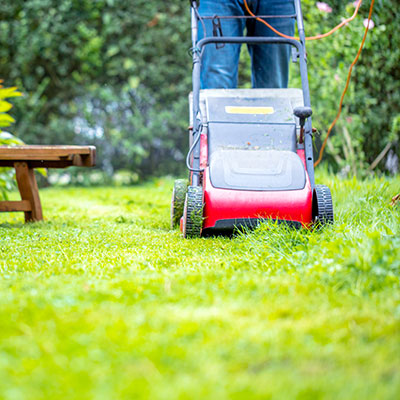 Rasen richtig mähen - Rasenpflege - Wuchshöhe - Nordweiss-Perle Garten- und Rasenkalk - VKD